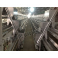 Hot-DIP Galvanized Layer Cage Certificat d&#39;ISO9001